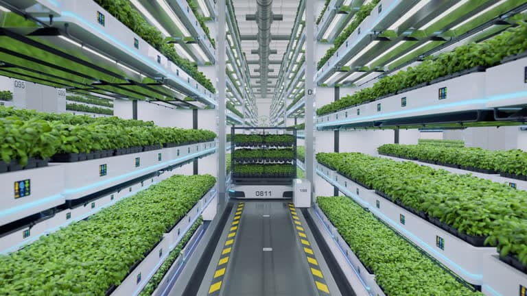 Agriculture
